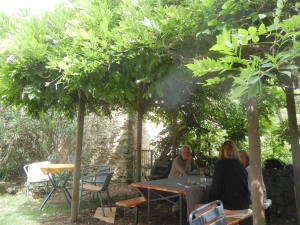 Farm Setting