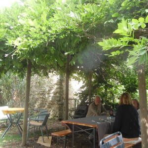 Farm Setting